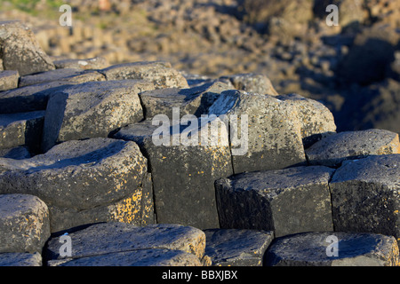 sechseckige Basalt Spalte Schritte auf die Giants Causeway Grafschaft Antrim Küste Nordirland Großbritannien Europa Stockfoto