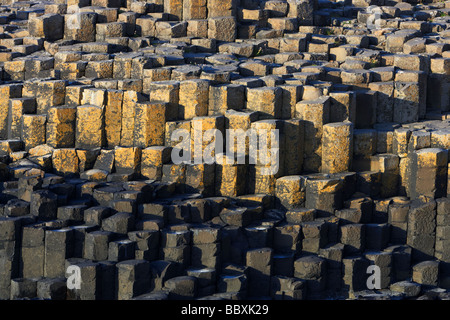 Reihen von Basalt Säulen Giants Causeway Grafschaft Antrim Küste Nordirland Großbritannien Europa Stockfoto