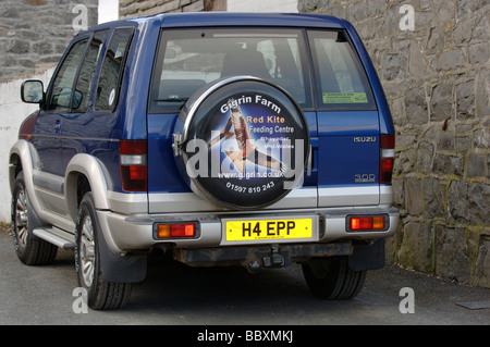 Rote Drachen Milvus Milvus anmelden Auto für Futterstation fotografiert in Wales Stockfoto