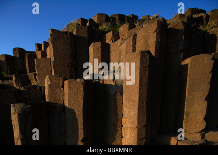 roten Basaltsäulen auf Giants Causeway Grafschaft Antrim Küste Nordirland Großbritannien Europa Stockfoto