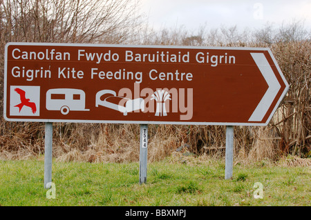 Rote Drachen Milvus Milvus Zeichen für Futterstation fotografiert in Wales Stockfoto