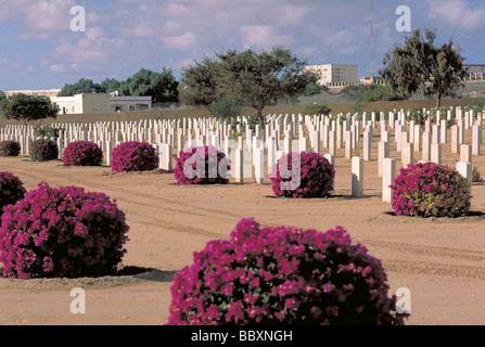 Elk157 4230 Ägypten El Alamein Commonwealth WWII Friedhof Stockfoto