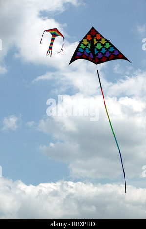 Einen großen bunten Drachen auf dem Blackheath International Kite Festival 2009 angezeigt wird Stockfoto