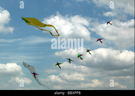 Eine Reihe von bunten Drachen auf dem Blackheath International Kite Festival 2009 angezeigt wird Stockfoto