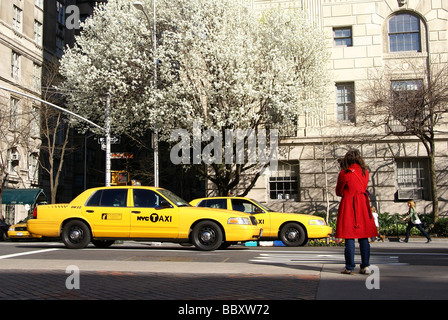 gelben Taxis auf 5th Av vor Metropolitanmuseum der Kunst Stockfoto