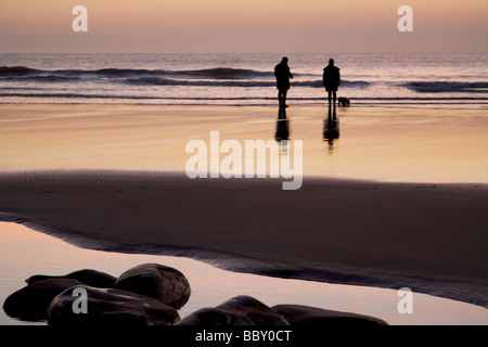 Paare, die einen Hund auf einem nassen Strand bei Sonnenuntergang Stockfoto