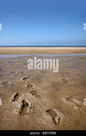 Uralte Fußspuren im Schlamm Schichten in Formby Stockfoto