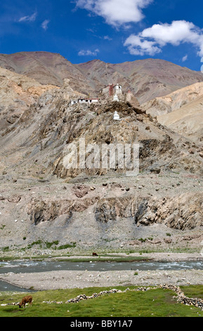 Gya Gompa. Manali-Leh-Straße. Ladakh. Indien Stockfoto