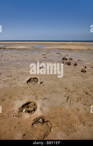 Uralte Fußspuren im Schlamm Schichten in Formby Stockfoto