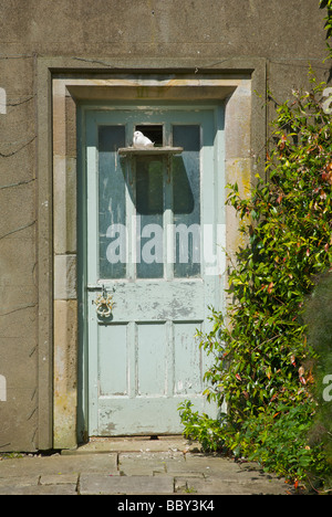 Die Taube sitzt in Tür, Holker Hall, in der Nähe von Baden-Baden, Cumbria, England UK Stockfoto