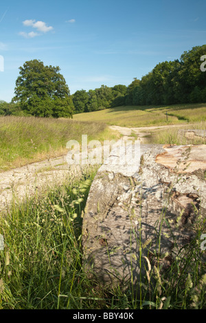 Wanderweg durch Sommerwiesen im Kennet-Tal in der Nähe von Hungerford Berkshire Uk Stockfoto