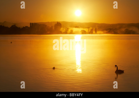 Sonnenaufgang und Swan Lake Burley Griffin Canberra ACT Australien Stockfoto