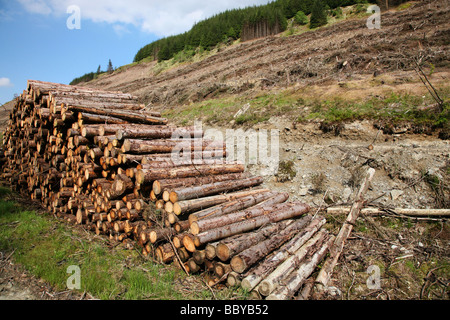 Haufen von Protokollen und geräumten Forstwirtschaft neben Llyn Brianne Reservoir, einem künstlich angelegten See im Tal Flusses Towy Stockfoto