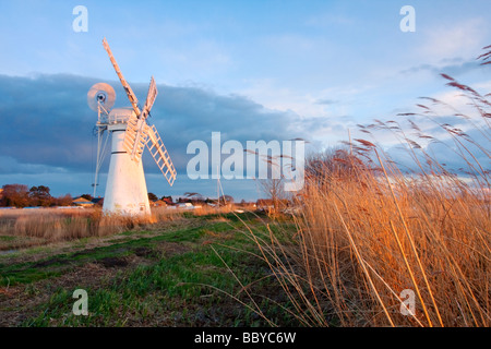 Thurne Windmühle beleuchtet durch das warme Licht der untergehenden Sonne über den Norfolk Broads National Park Stockfoto