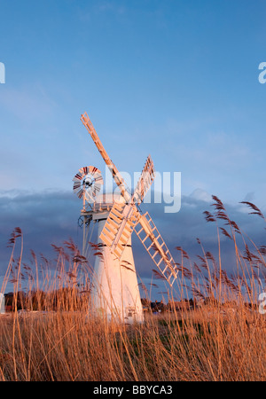 Thurne Windmühle beleuchtet durch das warme Licht der untergehenden Sonne über den Norfolk Broads National Park Stockfoto