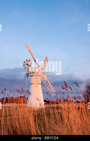 Thurne Windmühle beleuchtet durch das warme Licht der untergehenden Sonne über den Norfolk Broads National Park Stockfoto