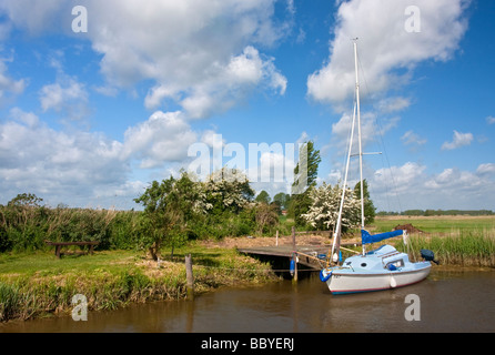 Boote in Hardley Staithe aus dem Fluß Yare auf den Norfolk Broads Stockfoto