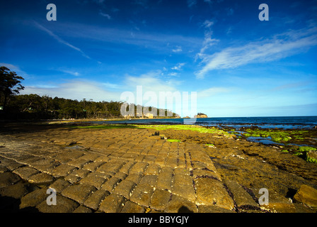 Tessalated Pflaster bei Eagle Hawk Hals, Tasmanien, Australien Stockfoto