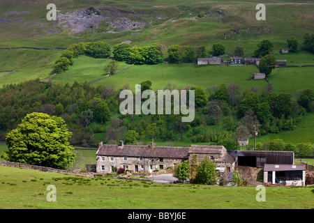 Crowtrees Farm Swaledale nahe Muker Swaledale Yorkshire Dales National Park Stockfoto