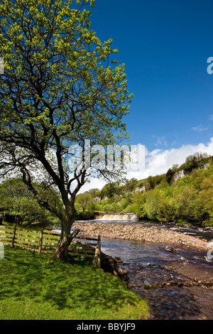 Wain Wath Force Wasserfall unter Cotterby Narbe oberen Swaledale nahe Keld Swaledale Yorkshire Dales National Park Stockfoto