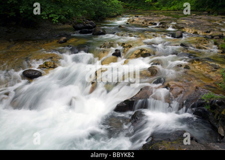 Middle Fork Santiam River Oregon Cascades gemäßigten Regenwaldes Seite Stockfoto