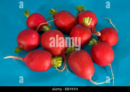 Eine Reihe von roten Radieschen aus einem Lebensmittelgeschäft oder Supermarkt. Stockfoto