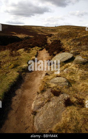 Fußweg zum Top Withens, Withins, Bauernhof, Wuthering Heights, Haworth, North Yorkshire moors, England, UK. Stockfoto