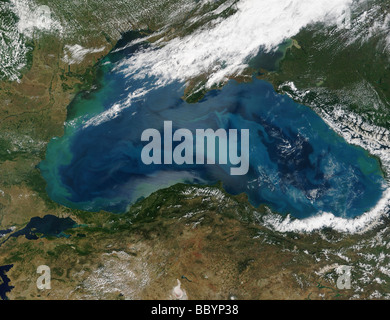 Satellitenansicht von Phytoplankton-Organismen in "blühen", Schwarzmeer-Russland Stockfoto