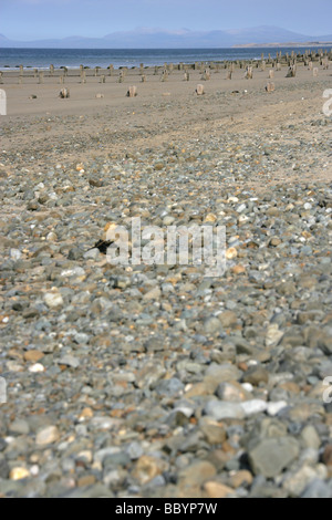 Stadt von Barmouth, Wales. Barmouth Strand bei Ebbe mit Cardigan Bay im Hintergrund. Stockfoto