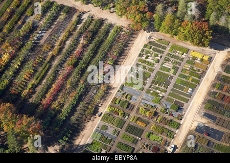 Yarralumla Kindergarten Weston Park Yarralumla Canberra ACT Australien Antenne Stockfoto