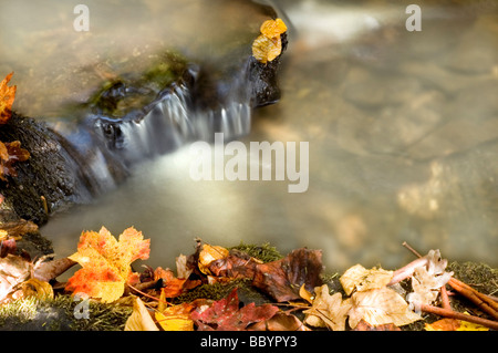 Schöne Berg Wasserfall im Herbst Stockfoto