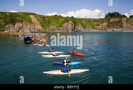 Kanus im Fischereihafen, Boatstrand, Copper Coast, Grafschaft Waterford, Irland Stockfoto