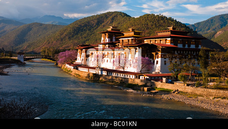 Majestätische Punakha Dzong bei Sonnenuntergang - Punakha, Bhutan Stockfoto