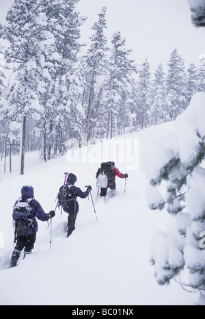 Machen Spuren in 2 Füße Neuschnee entlang den niedrigsten Pass entlang der kontinentalen Wasserscheide. Stockfoto