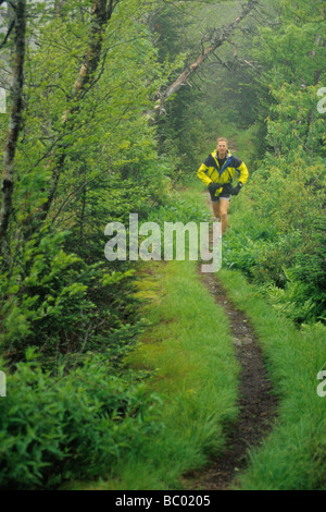 Männliche Trailläufer in einem üppigen verregneten Wald. Stockfoto