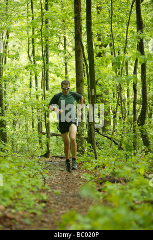 Männliche Trailläufer in einem üppig grünen Wald. Stockfoto