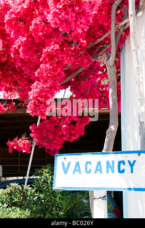 Stellenausschreibung-Schild mit Blumen vor griechischen Insel Vermietung motel Stockfoto