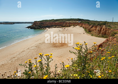 Strände in La Cala del Aceite Conil De La Frontera Cadiz Andalusien Spanien Stockfoto