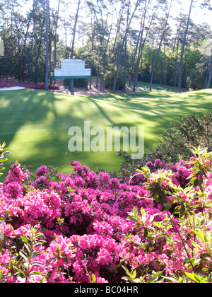 Augusta National Golf Course - Meister 2009 Stockfoto