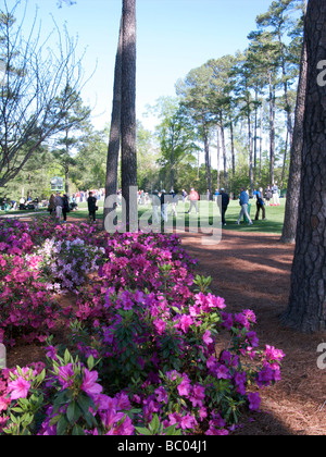 Augusta National Golf Course - Meister 2009 Stockfoto