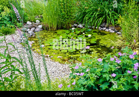 Eine Ecke des Gartens Wildlife freundlich in den Zweigen Gärten in Swindon Wiltshire England UK Stockfoto