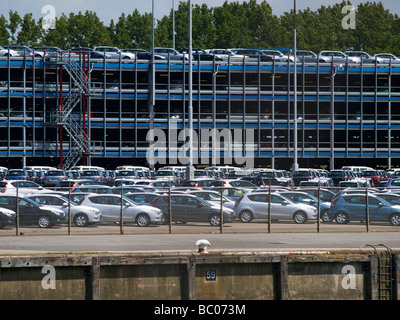 Importierte japanische Autos in den Hafen von Rotterdam Stockfoto