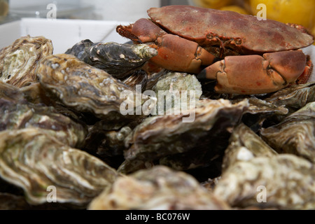 Austern und essbaren roten Krabben auf Schalentiere und Meeresfrüchte Stall in einem offenen Markt in Irland