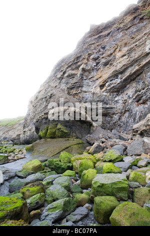 Cliff und Strand Details aus der Whitby Küste mit grünen Flechten bedeckt Felsen im Vordergrund North Yorkshire England Stockfoto