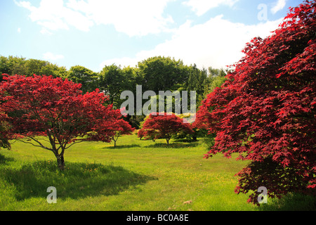 Blick vom Gipfel der John F. Kennedy Arboretum, Co. Wexford, Irland. Stockfoto