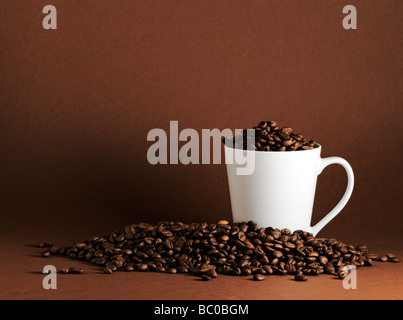 weiße Tasse umgeben von Kaffeebohnen auf Kaffee farbigen Hintergrund mit allerlei Textfreiraum Stockfoto