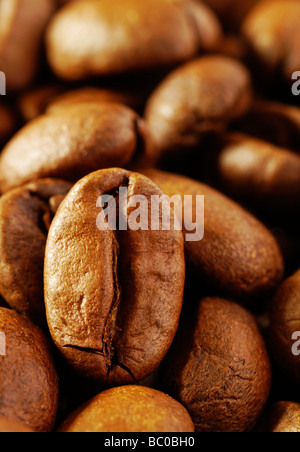 Nahaufnahme Makroaufnahme von gerösteten Kaffeebohnen Stockfoto