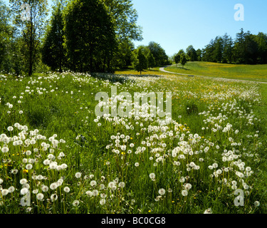 DE - Bayern: Pastorale Landschaft in der Nähe Starnberger See Stockfoto