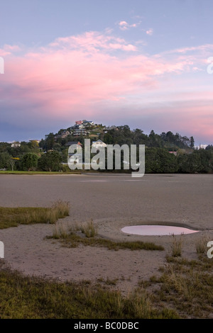 Tairua Hafen bei Ebbe in der Abenddämmerung, Coromandel Peninsula, Neuseeland Stockfoto