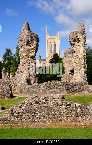 Ruinen der Abtei und St Edmundsbury Kathedrale, Bury St Edmunds Suffolk England UK Stockfoto